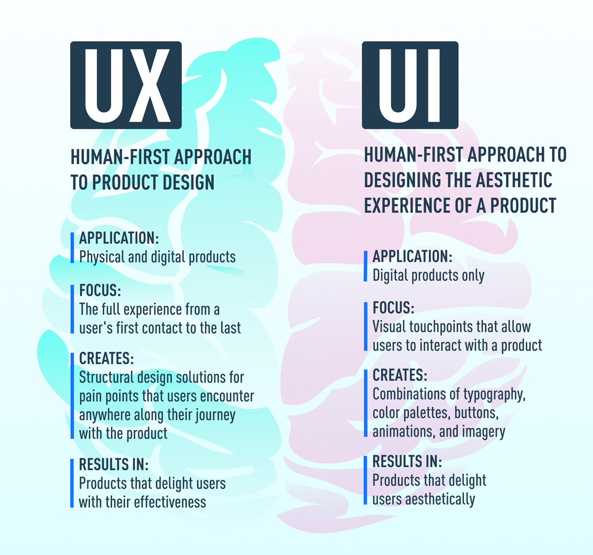 UI/UX Comparison